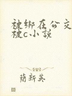 被绑在公交车里被c小说