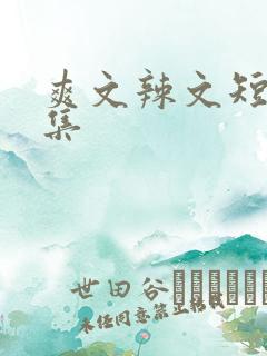 爽文辣文短篇合集