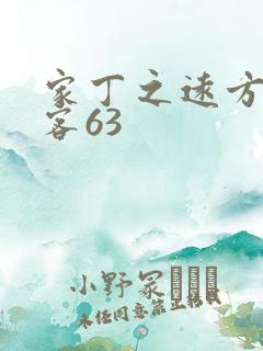 家丁之远方的来客63