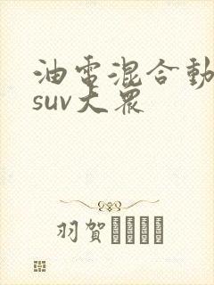 油电混合动力车suv大众