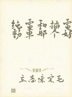 纯电和插电式混动车哪个好