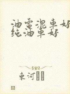 油电混车好还是纯油车好