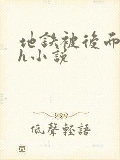 地铁被后面进了h小说