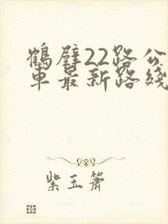 鹤壁22路公交车最新路线和时间