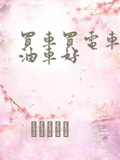 买车买电车还是油车好
