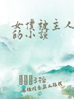 女仆被主人调教的小说
