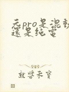 元pro是混动还是纯电