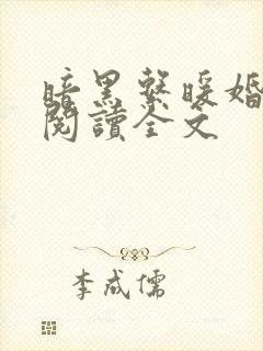 暗黑系暖婚阅读阅读全文