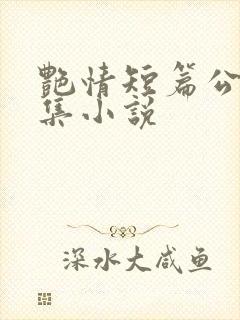 艳情短篇公车合集小说
