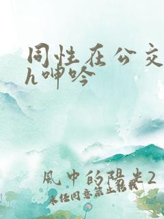 同性在公交车上h呻吟