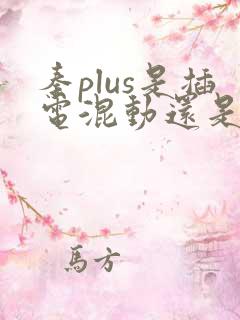 秦plus是插电混动还是油电混动