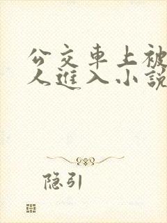 公交车上被陌生人进入小说