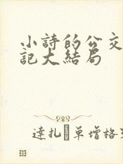 小诗的公交车日记大结局