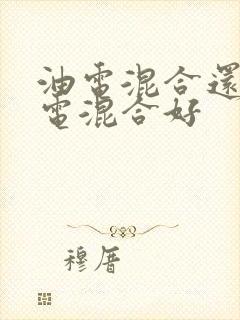 油电混合还是插电混合好