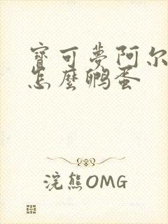 宝可梦阿尔宙斯怎么孵蛋