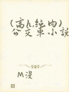 (高h,纯肉)公交车小说
