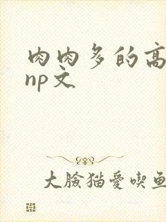 肉肉多的高h np文