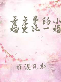 看免费的小说一婚更比一婚高