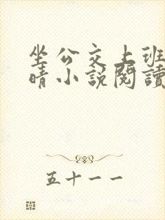 坐公交上班的诗晴小说阅读