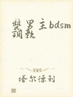 双男主bdsm调教