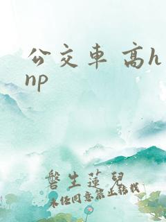公交车 高h np