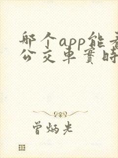 哪个app能看公交车实时位置