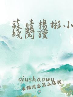 苏晴杨彬小说在线阅读