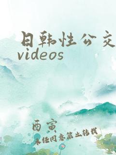 日韩性公交69videos