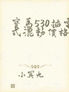 宝马530插电式混动价格