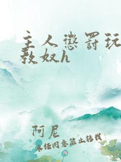 主人惩罚玩弄调教奴h