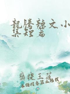龙腾辣文小说合集短篇