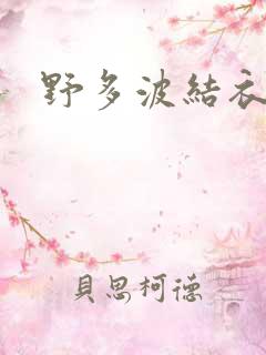 野多波结衣