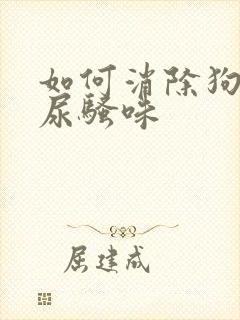 如何消除狗狗的尿骚味