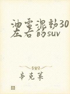 油电混动30万左右的suv