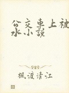 公交车上被蹭出水小说