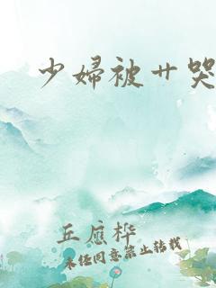 少妇被艹哭小说