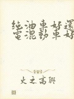 纯油车好还是油电混动车好