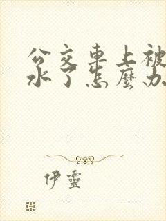 公交车上被蹭出水了怎么办