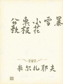 公车小雪暴露调教校花