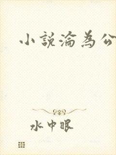 小说沦为公车
