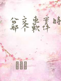 公交车实时查看哪个软件