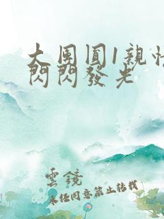 大团圆1亲情会闪闪发光