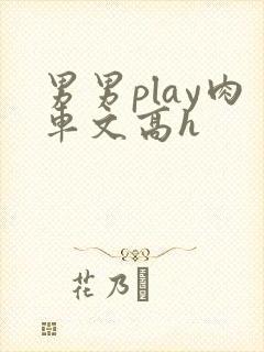 男男play肉车文高h