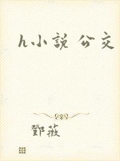 h小说 公交