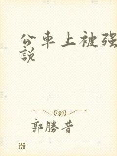 公车上被强上小说