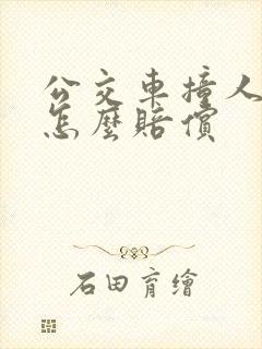 公交车撞人全责怎么赔偿