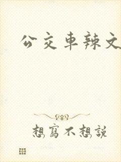 公交车辣文h