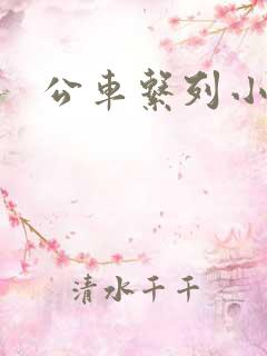 公车系列小说h