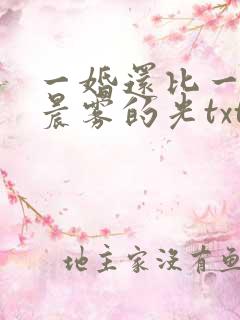 一婚还比一婚高晨雾的光txt