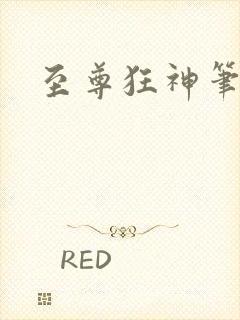 至尊狂神笔趣阁